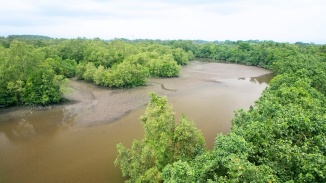 Luftaufnahme des Sungei Buloh Wetland Reserve