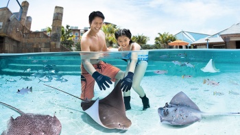 Vater und Tochter an der Ray Bay im Adventure Cove Waterpark™