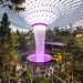 Der HSBC Rain Vortex im Jewel Changi, ein Wunderwerk moderner Ingenieurskunst