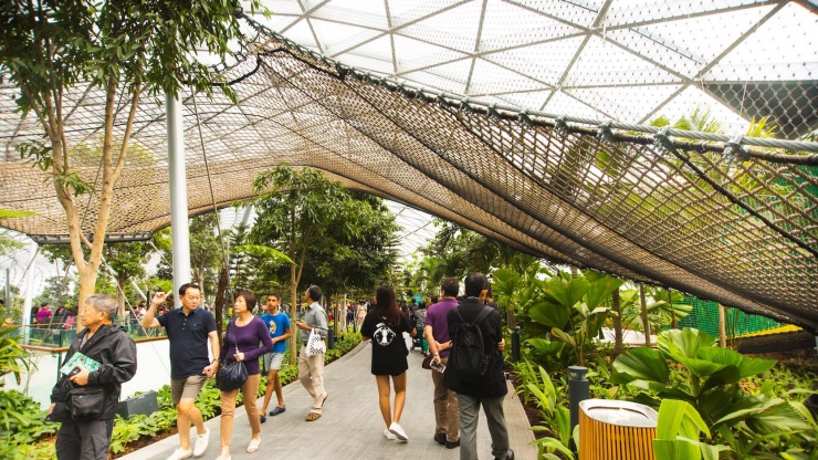 Der Canopy Park im Jewel bietet eine Vielzahl von spannenden Attraktionen