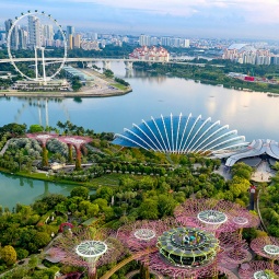 Drohnenaufnahme der Gardens by the Bay und des Singapore Flyer