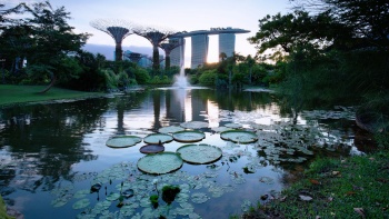 Weitwinkelansicht des Dragonfly Lake in den Gardens by the Bay bei Sonnenuntergang