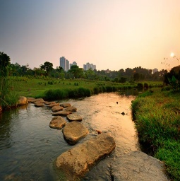 Ein Sonnenuntergang am Fluss im Bishan-Ang Mo Kio Park