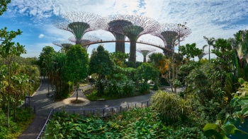 Weitwinkelaufnahme der Gardens by the Bay