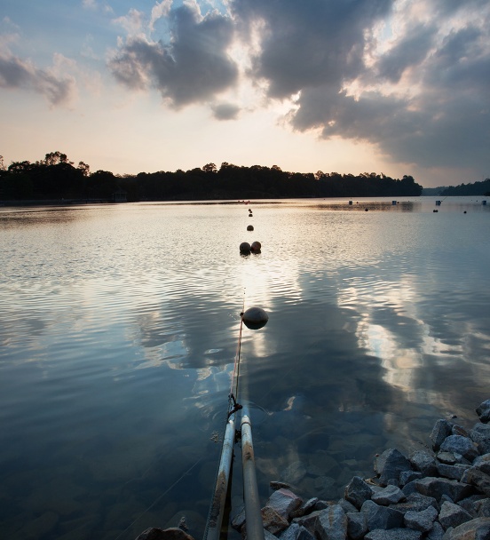 Ein hübscher Anblick des MacRitchie Reservoir