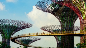 Weitwinkelaufnahme des OCBC Skyway & Supertree Grove in den Gardens by the Bay