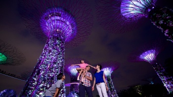 Night shot of a family standing around the Supertrees