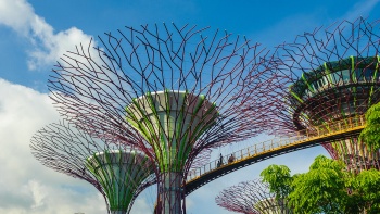 A ground up view of the OCBC Skywalk at SuperTree Grove at Gardens By The Bay Singapore