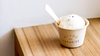 A cup of gelato from Birds of Paradise Gelato Boutique 