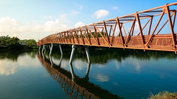Shot of a bridge at Lorong Halus Wetland