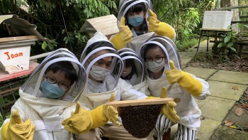 Kids with bee comb