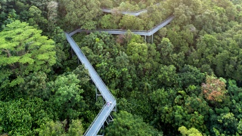 Aerial View of Southern Ridges Singapore