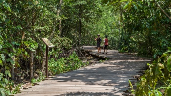 Two hikers along along Chek Jawa Wetlands trail