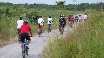 Cyclists riding along a road on Ketam Moutain Bike Park. 