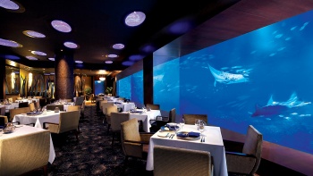 Dining alongside sharks at the Ocean Restaurant by Cat Cora, at Resorts World Sentosa at S.E.A Aquarium.