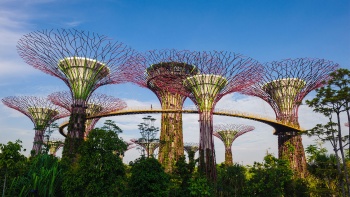 SuperTrees at the Gardens by the Bay. 