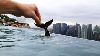 Silhouette of a whale’s tail on the infinity pool at Marina Bay Sands®. 