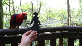 Silhouette of a miniature man against a parrot at Jurong Bird Park.  