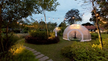 View of The Summerhouse Garden Domes