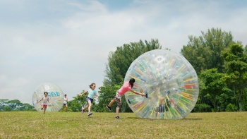 Children zorbing (ensconced within a giant transparent rubber orb) outdoors on a green field with blue sky