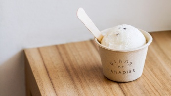 A cup of ice cream from Birds of Paradise