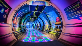 A colourful interactive tunnel exhibit at Science Centre Singapore