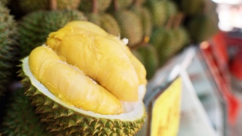 Close-up shot of an opened durian