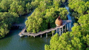 Shot of the observation pod and coastal trail at Sungei Buloh Wetland Reserve