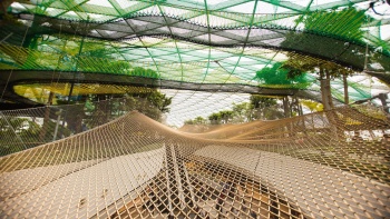 Canopy park in Jewel Changi