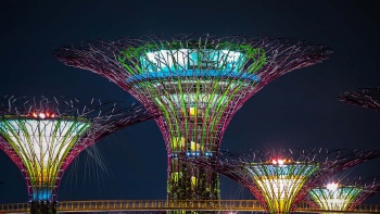 Potret tampak dekat pemandangan malam SuperTree di Gardens by the Bay