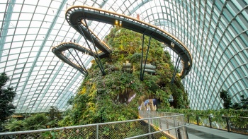 Pemandangan Cloud Forest di Gardens By The Bay