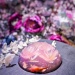 Premium Sakura flower tea jelly cake dengan bunga Sakura asli dan hiasan bunga Sakura di Wild Blooms Café Singapore 