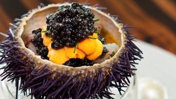 Bulu babi dan butiran kaviar secerah mutiara yang disajikan di Waku Ghin