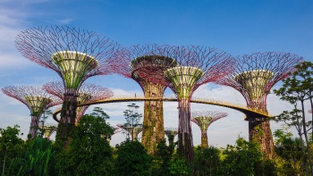 SuperTrees di Gardens by the Bay.