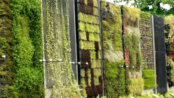 Dinding yang dipenuhi berbagai flora di HortPark.