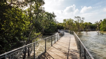 Lintasan papan kayu di Chek Jawa Wetlands di Pulau Ubin.