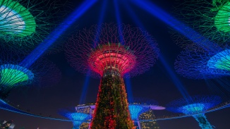 Sabertrees di Gardens by the Bay
