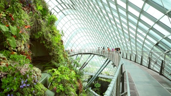 Interior Cloud Forest Dome yang cantik menyuguhkan lebih dari 32.000 jenis tumbuhan dan 160 spesies