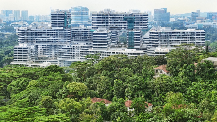 Foto The Interlace nan cantik yang diambil dari udara dengan pepohonan hijau di area depannya