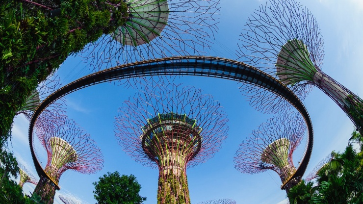 Bidikan lebar pemandangan OCBC Skyway 360 derajat di Gardens by the Bay