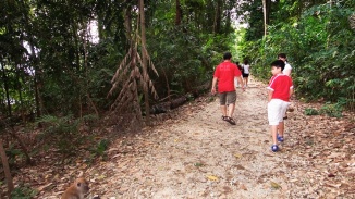 Keluarga berjalan santai menyusuri jalur jalan kaki sejauh 11 km di MacRitchie