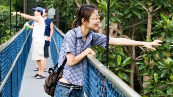 Berjalan-jalan di bawah pepohonan rindang yang menaungi kepala Anda di Treetop Walks di MacRitchie, Singapura.
