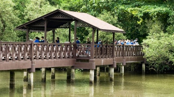 Foto jalur di Sungei Buloh Wetland Reserve