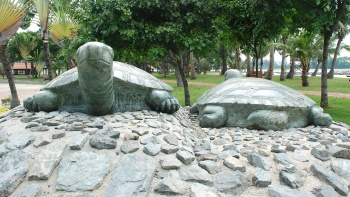 Kusu Island, yang berarti Pulau Kura-kura dalam bahasa Tionghoa, penuh dengan cerita menarik mengenai asal-usulnya yang mistis.