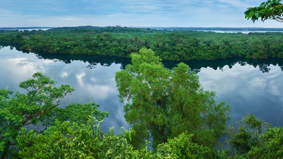 Kegiatan yang dapat dilakukan di Pulau Ubin – Visit Singapore Situs Web  Resmi