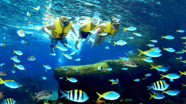 Bersnorkel di Adventure Cove Waterpark™ di Sentosa