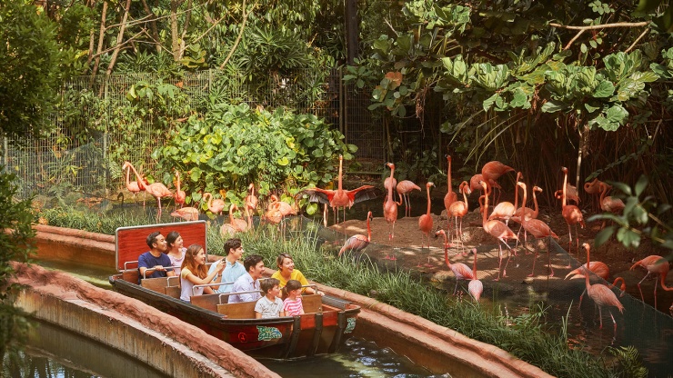 Keluarga menaiki wahana kapal Amazon River Quest di River Safari Singapore memperhatikan burung flamingo.