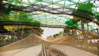 Canopy Park Skynet