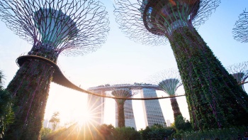 Pemandangan Supertrees dari Gardens by the Bay