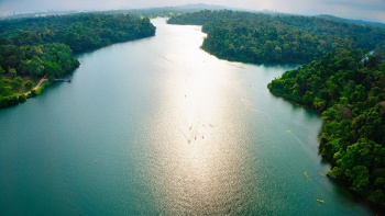 MacRitchie Reservoir Park